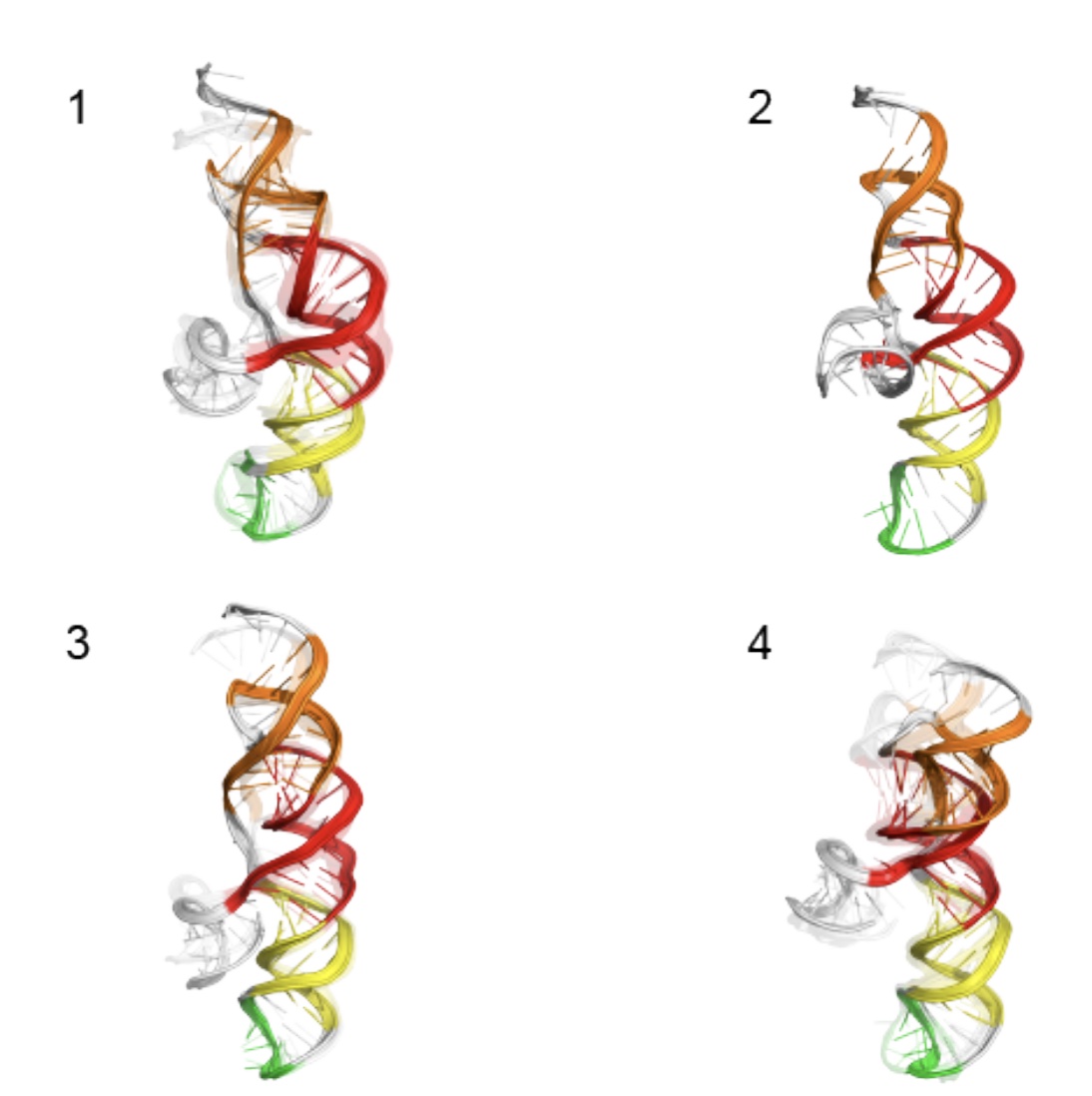 There are many conserved and likely structured elements of the SARS-CoV-2 genome, such as those identified in a previous preprint, with no known 3D structure, which nonetheless may be useful targets for small molecule therapeutics. Ramya Rangan and Andy Watkins have performed studies with our latest structure prediction code, FARFAR2, to make publicly available collections of de novo 3D models of these elements. Their linked preprint has been made available in bioRxiv.