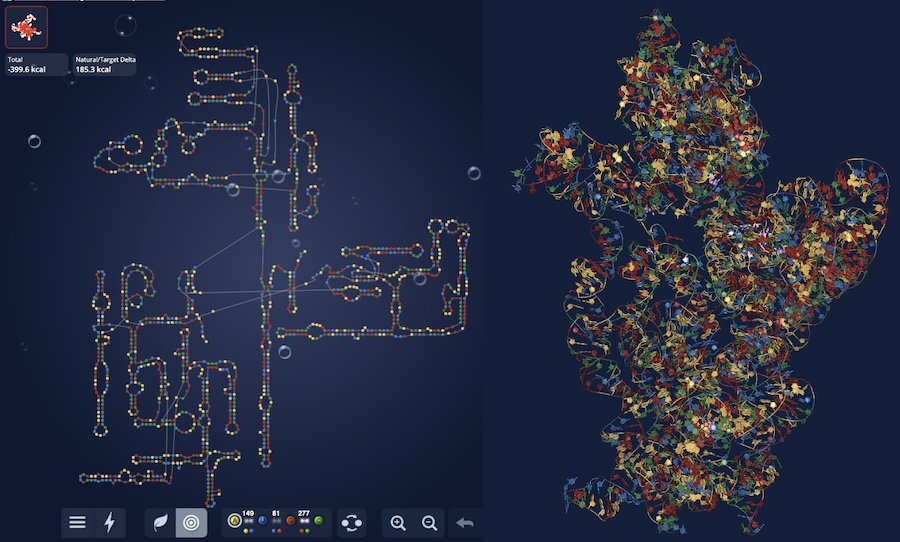 After a successful pilot experiments in early 2019, Eterna is releasing Ribosome Challenge Round 1