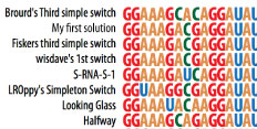 2012_Bida_CurrOpinStructBiol