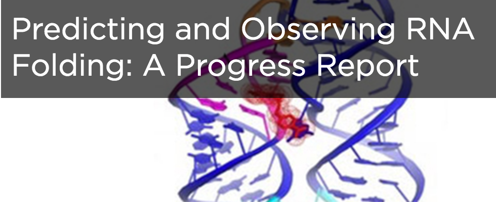 Rhiju presented recent progress in ‘RNA puzzles’ at a Cell Press webinar “Predicting and Observing RNA Folding: A Progress Report” along with Kathleen Hall, Sarah Woodon, and Rob Batey. The web cast is available at the Cell website.