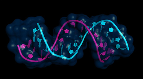 Eterna citizen scientists are lead authors on peer-reviewed paper “Principles for Predicting RNA Secondary Structure Design Difficulty”. Press coverage includes Science Magazine, Washington Post, Reuters.