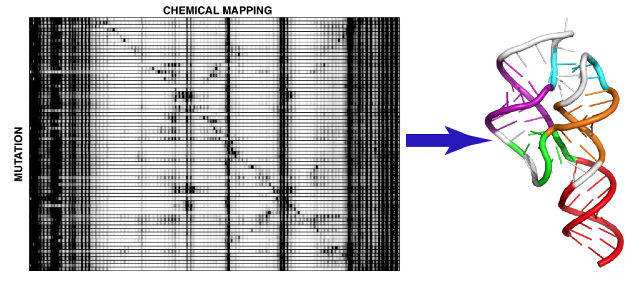 MutateMap_ncRNA_KladwangVanLangCorderoDas_TOC_figure_whitebkgd