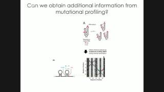 Clarence Cheng presented an Eterna open group meeting on “MaP-2D: Extracting two-dimensional structural information from mutational profiling experiments”, on February 15, 2016. Tune into our eterna YouTube channel for this and previous talks.