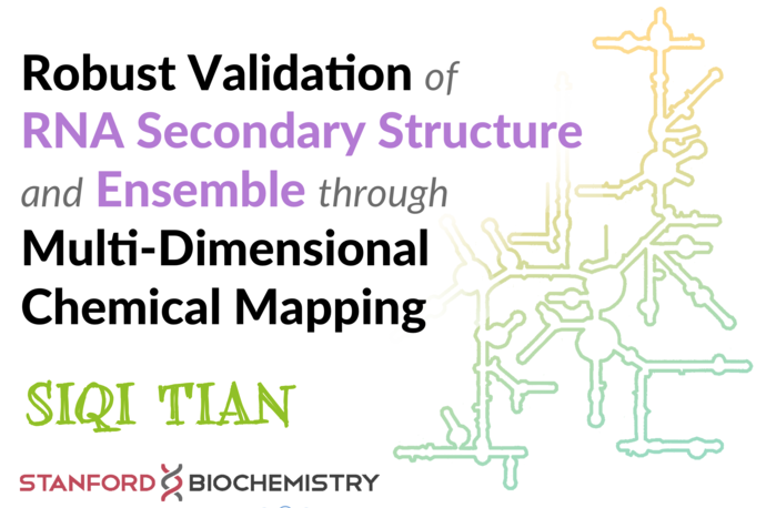 Siqi Tian successfully defended his Ph.D. thesis on “Robust Validation of RNA Secondary Structure & Ensembles through Multidimensional Chemical Mapping” on September 19, 2016.