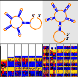 2014_Lee_PNAS