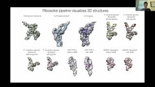 Rhiju spoke on “RNA modelling and design” at the Next Generation Biophysics Symposium 2022 hosted by the MRC Laboratory of Molecular Biology in the UK. The focus was on cryo-EM to solve RNA 3D structures!