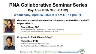 Rhiju presented a short talk on Progress in RNA 3D modeling? at the RNA collaborative seminar series, along with Gloria Brar (U.C. Berkeley) speaking on unexpected RNAs and off-target effects from genomic expression casettes. You can check out our talks here. Thanks to Bay Area RNA Club for choosing us as their representatives, and to the RNA society for hosting these seminars. And our bioRxiv preprint on CASP15 RNA assessment is also out here!