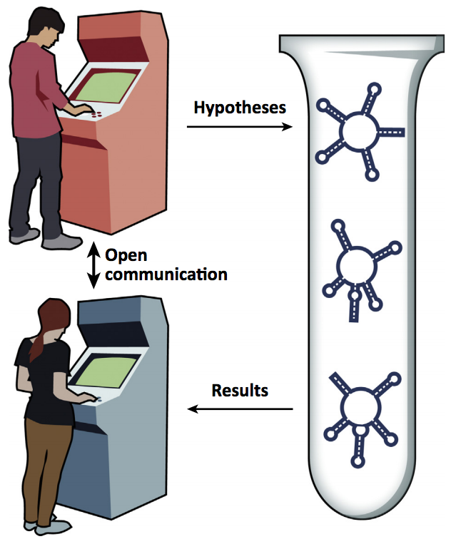 scientific rigor